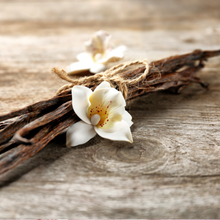 Reed Diffuser - Vanilla and Coconut-reed diffuser-Angel Aromatics