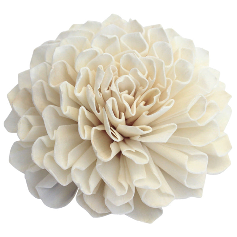 Balsa Wood Flowers Dahlia Ivory Angel Aromatics
