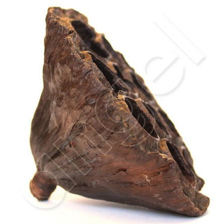 Lotus Pod Natural Large-Botanical-Angel Aromatics