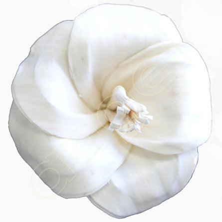 Balsa Wood Flowers Hibiscus Ivory-Flowers-Angel Aromatics