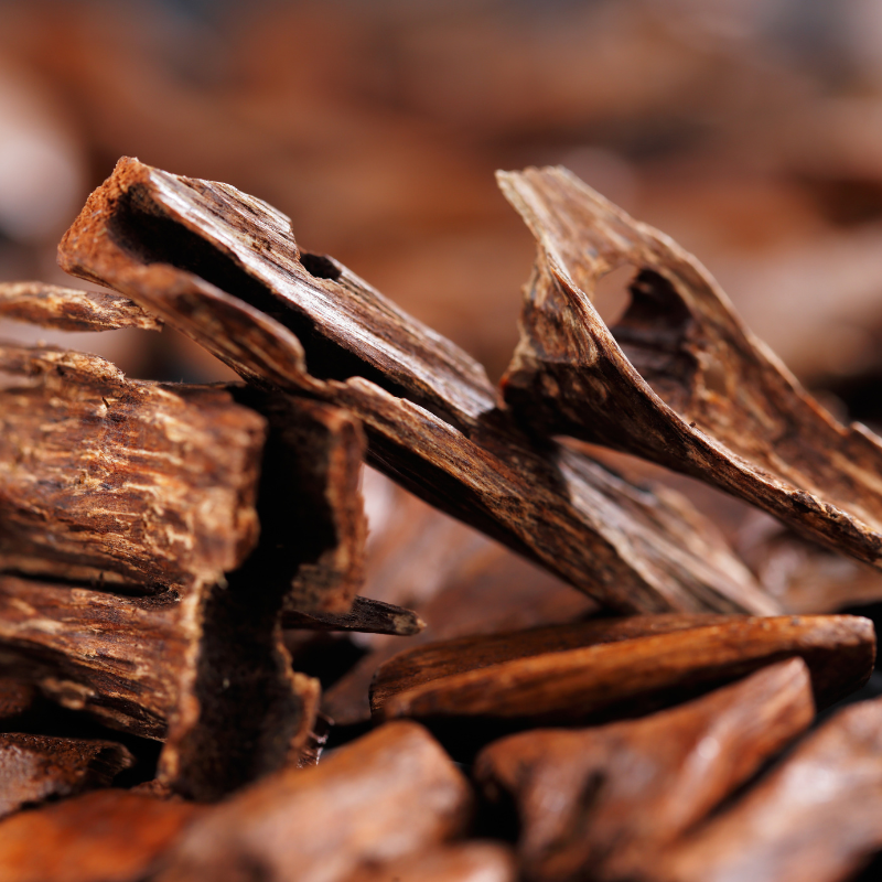 Leather and Oud 15ml Diffuser Oil-candles-Angel Aromatics
