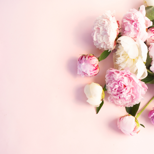 Bath and Body Set - Champagne Peony-Bath soaks-Angel Aromatics