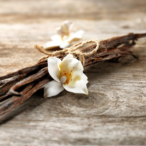 Reed Diffuser Refill 200ml - Vanilla-reed diffuser refill-Angel Aromatics