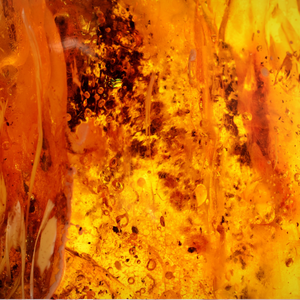 270g Clear Candle in Annan or Amber & Patchouli-scented candles-Angel Aromatics