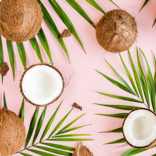 Reed Diffuser - Vanilla and Coconut-reed diffuser-Angel Aromatics