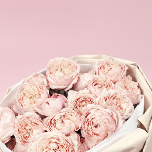 David Austin Rose 15ml Diffuser Oil-Diffuser oil-Angel Aromatics