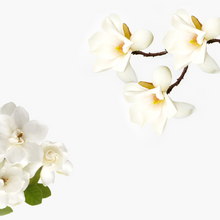 Gardenia 100ml Diffuser Oil-100ml diffuser oil-Angel Aromatics