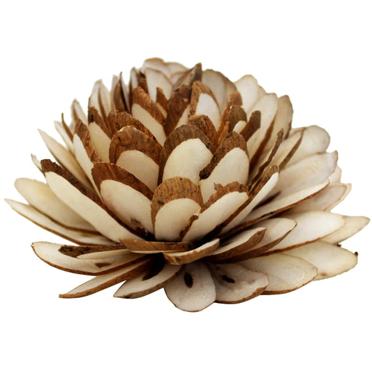 SALE Balsawood Two Tone Protea-Flowers-Angel Aromatics