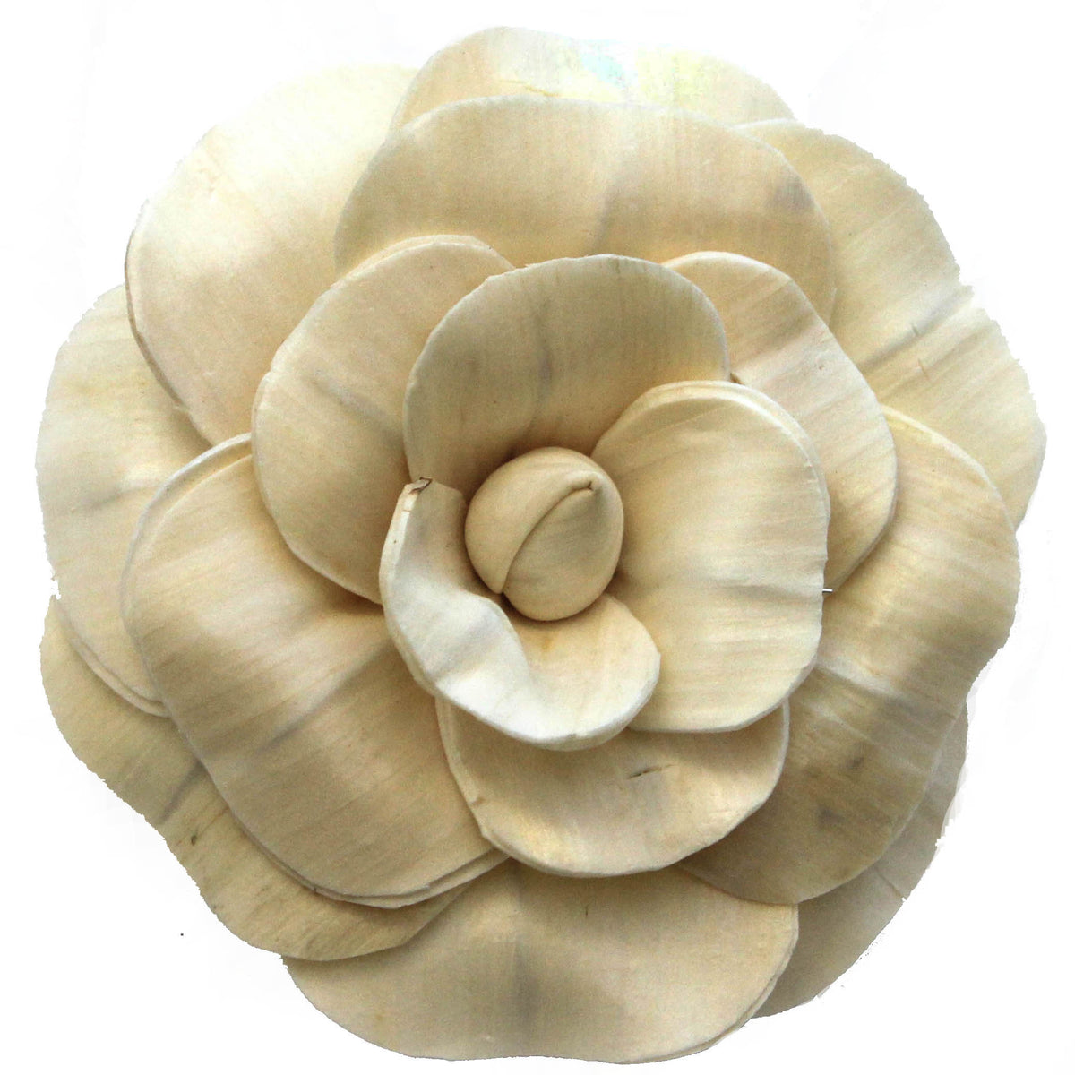 Balsa Wood Ivory Large Camellia-Flowers-Angel Aromatics
