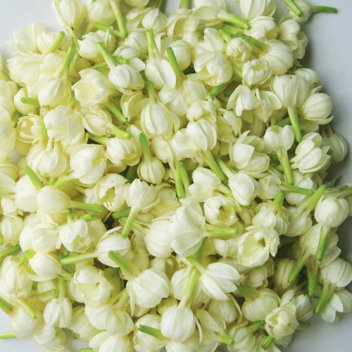 Saffron & Jasmine 100ml Diffuser Oil - (Baccarat Rouge 540 Dupe)-candles-Angel Aromatics