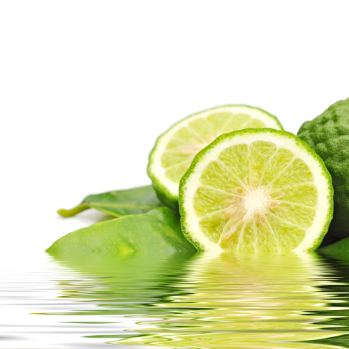 Coconut and Kaffir Lime 100ml Diffuser Oil-Oil diffuser-Angel Aromatics