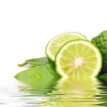 Coconut & Kaffir Lime 15ml Diffuser Oil-Diffuser oil-Angel Aromatics