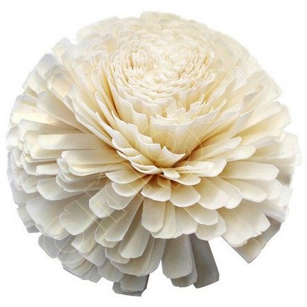 Ivory Giant Zulu Flower-Flowers-Angel Aromatics