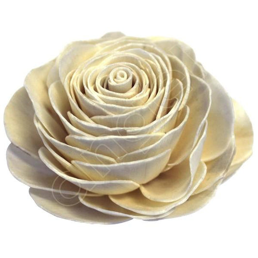 Balsa Wood Flowers Ivory Lola-Flowers-Angel Aromatics