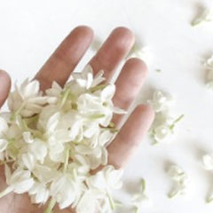 Blooms 100ml Diffuser Oil-Angel Aromatics