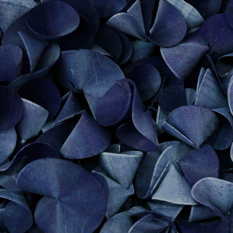 Navy-Angel Aromatics