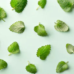 Memory and Focus Peppermint & Rosemary 100ml Diffuser Oil-100ml diffuser oil-Angel Aromatics