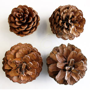 Pine Cones 250g-Angel Aromatics