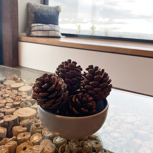 Pine Cones 250g-Angel Aromatics