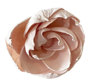 Balsa Wood Pink Peony OUT OF STOCK-Flowers-Angel Aromatics