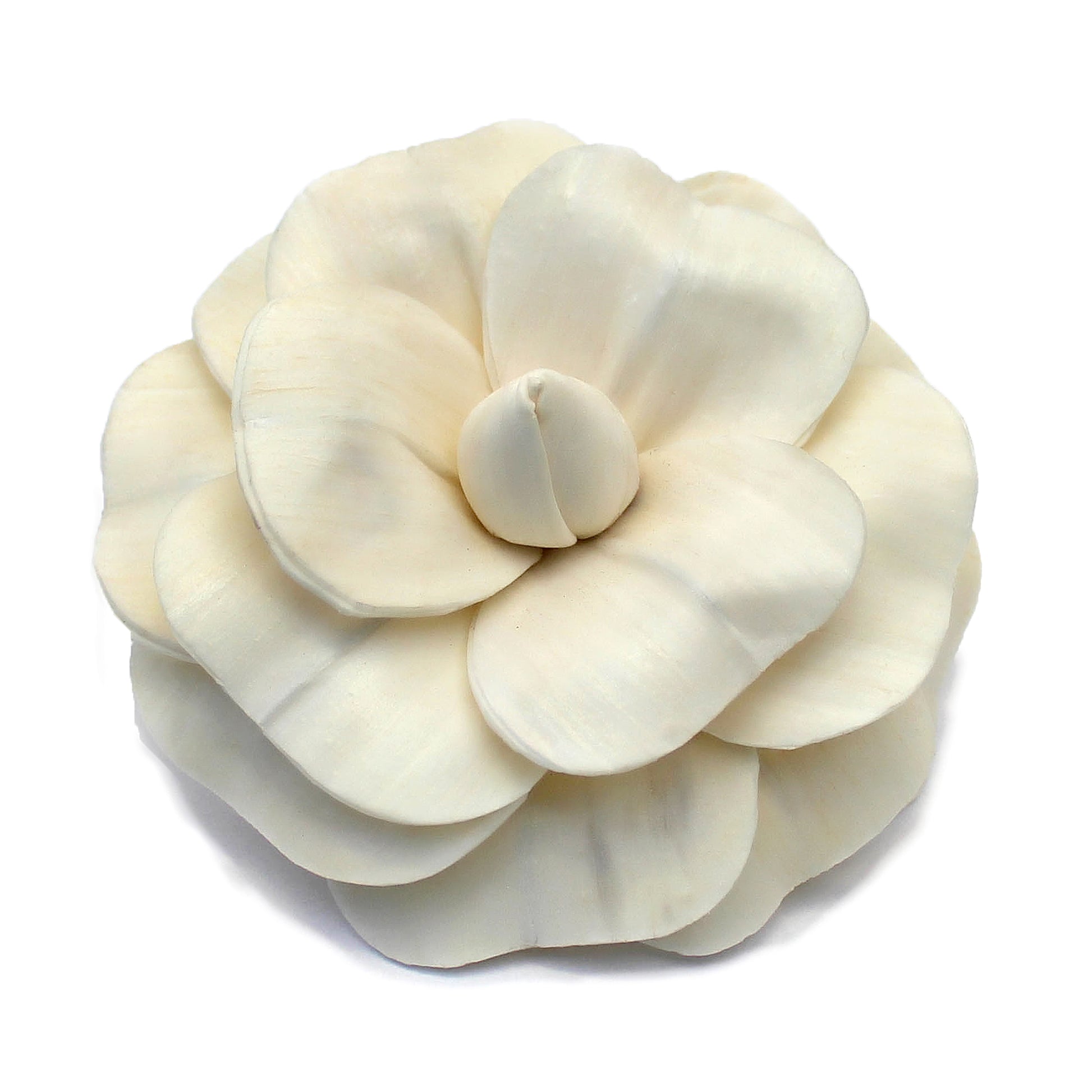 Balsa Wood Ivory Large Camellia-Flowers-Angel Aromatics