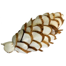 Balsa Wood Ivory Denver Pine Cone-Flowers-Angel Aromatics