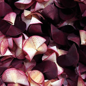 Curls 100g Rose Leaves-Potpourri-Angel Aromatics