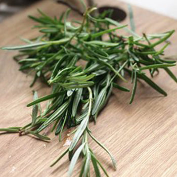 SALE Memory and Focus Peppermint & Rosemary 15ml Diffuser Oil-Diffuser Oil-Angel Aromatics